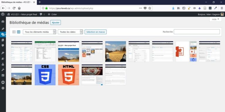 Importer les images dans WordPress